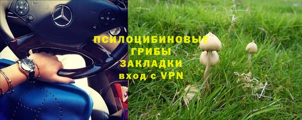 МДПВ Пересвет