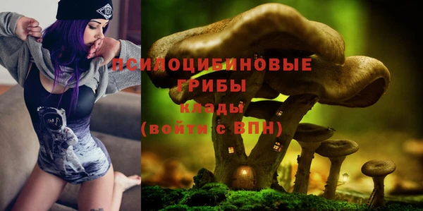 МДПВ Абаза